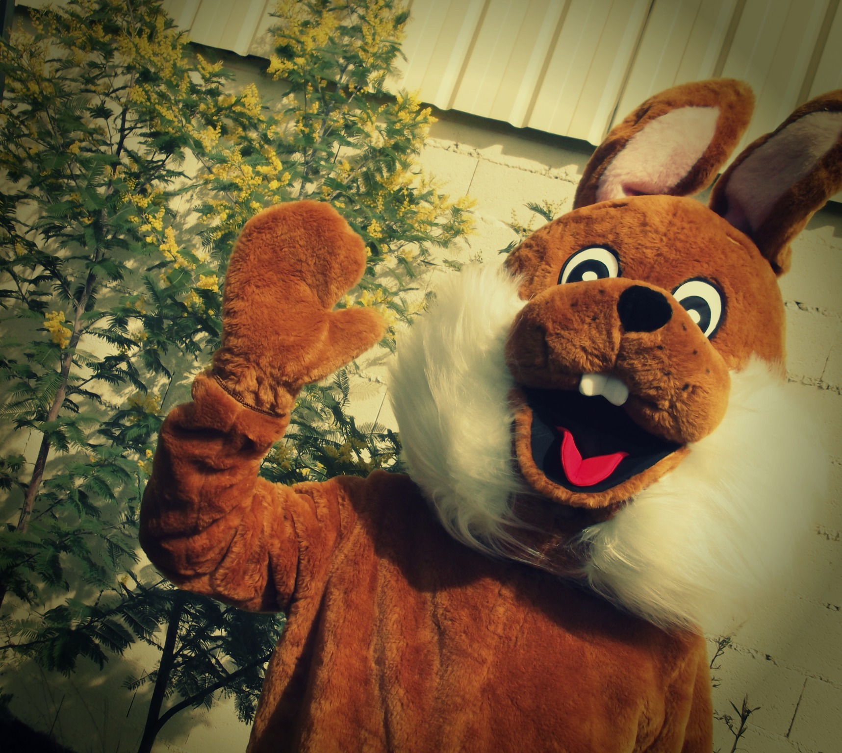 cadeaux panier degustation